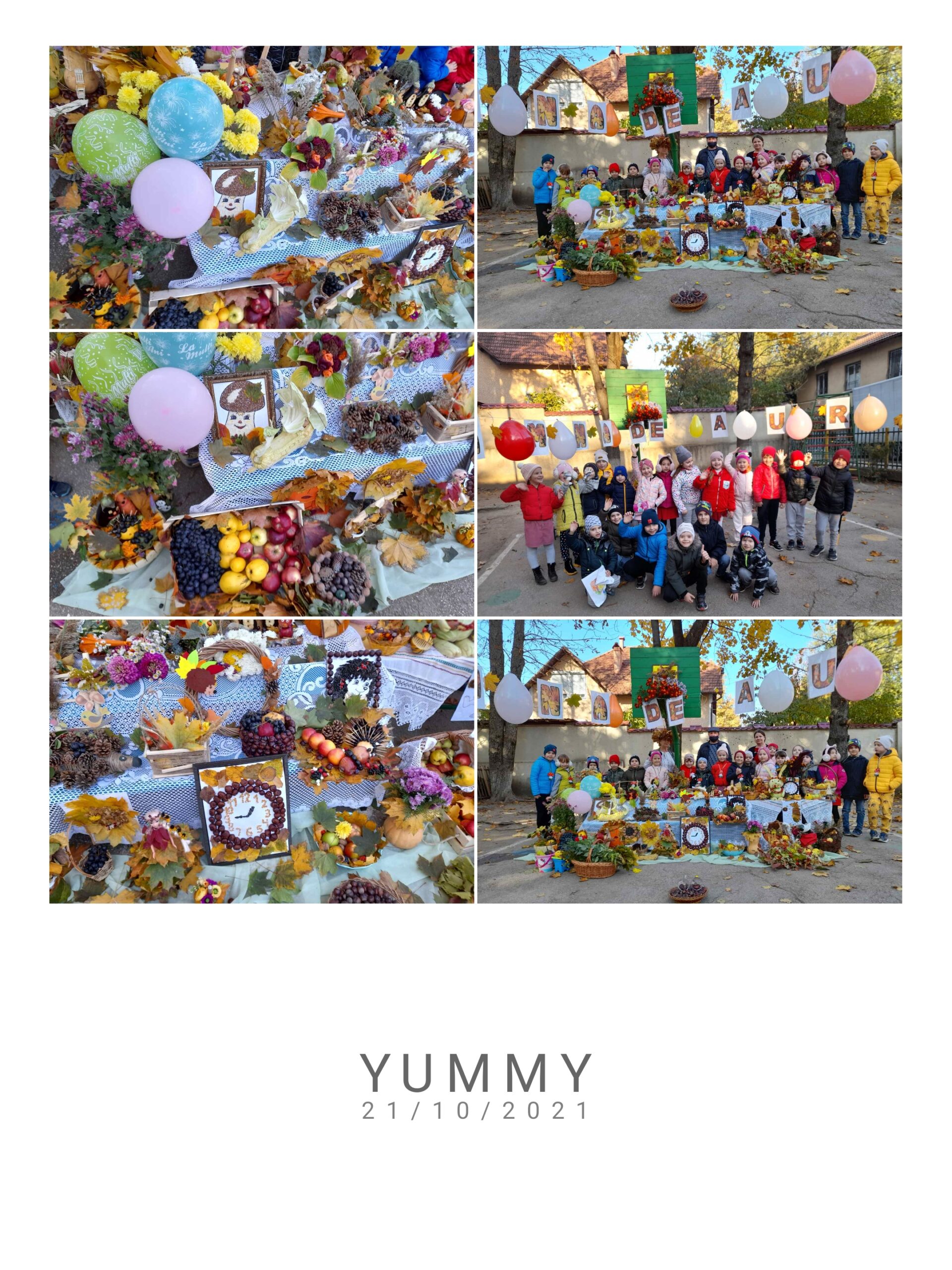 Expozitiei de toamnă