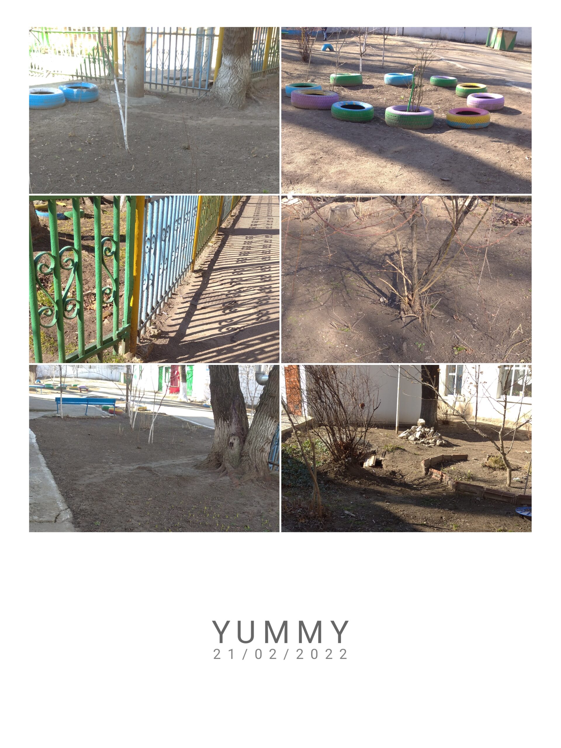 Salubrizarea și amenajarea teritoriului instituției, cât și cel adiacent