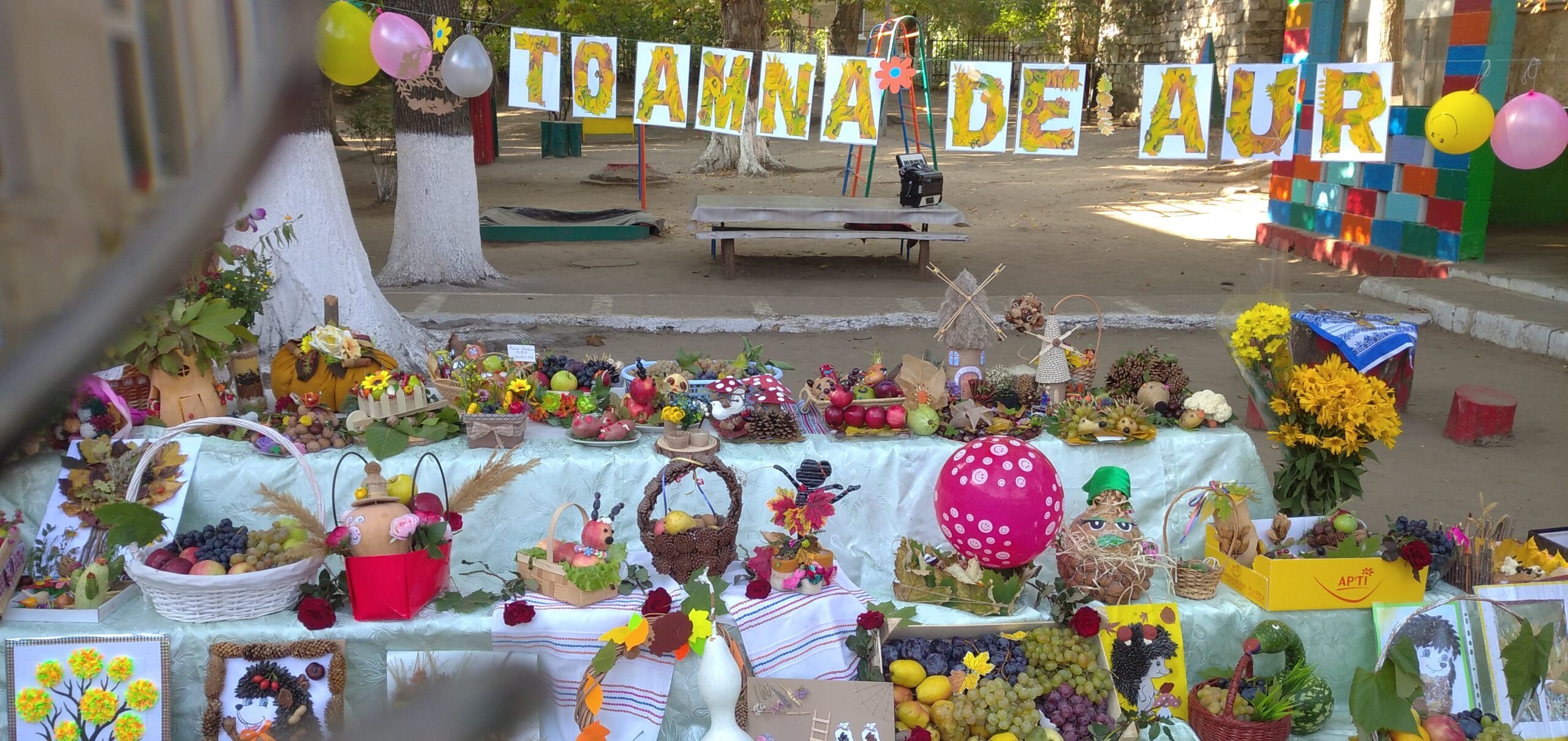 A venit toamna de alviță!